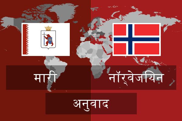 नॉर्वेजियन अनुवाद